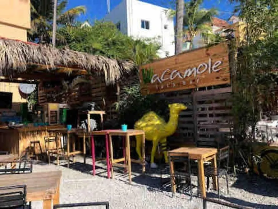 Papaya Apartment Bavaro Just Steps From The Beach. Punta Cana Dominikanische Republik
