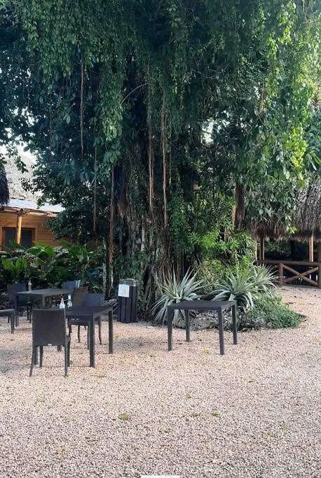 Papaya Apartment Bavaro Just Steps From The Beach. Punta Cana