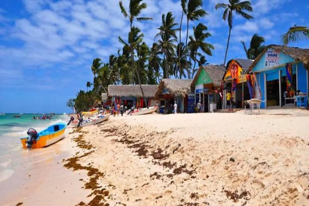 Papaya Apartment Bavaro Just Steps From The Beach. Punta Cana Dominikanische Republik